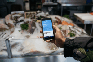 Good Fish Topic Latest seafood sustainability advice from the Good Fish Guide - All At Sea